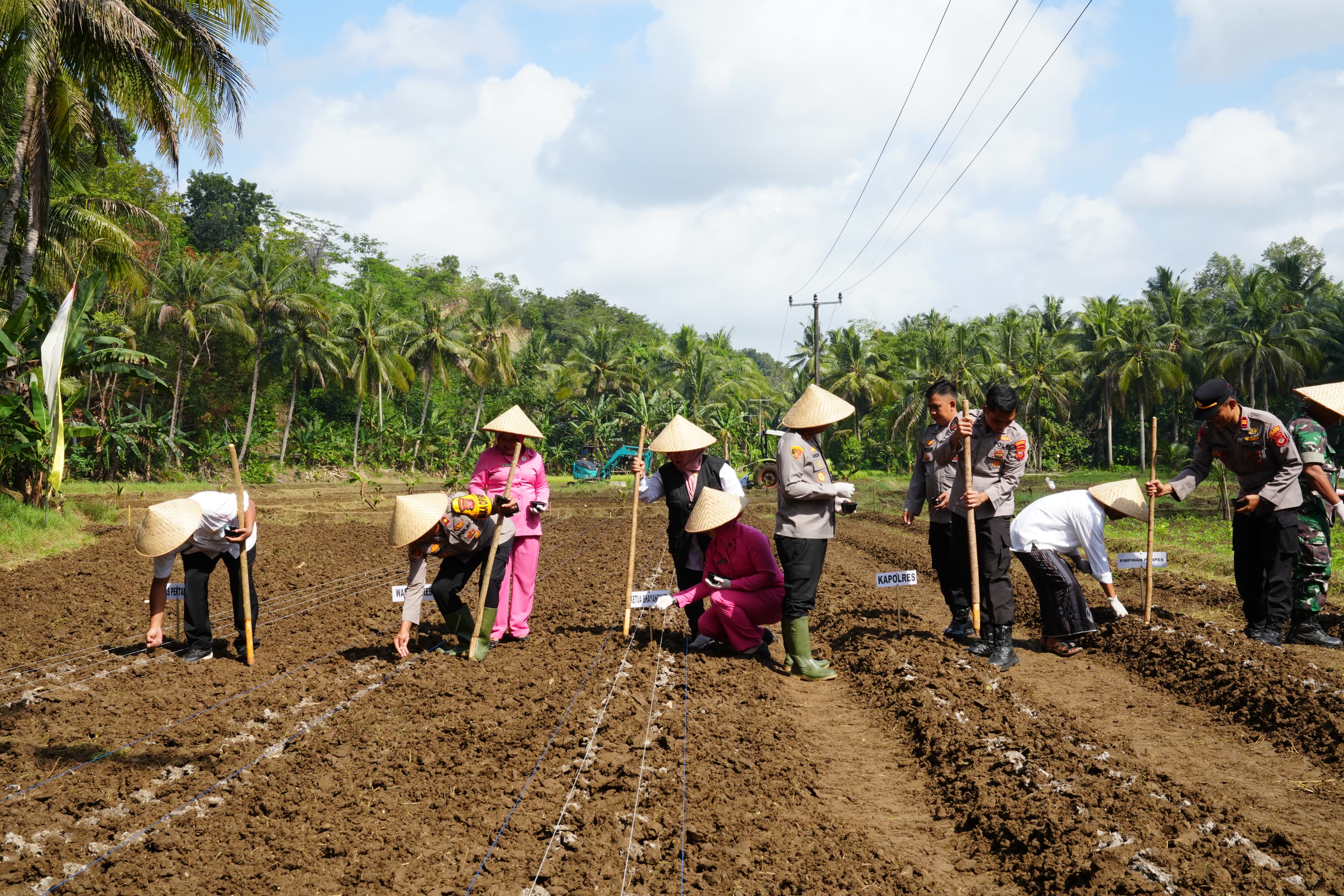 Polres Pangandaran Gelar Panen Jagung Serentak Kuartal I, Dukung Swasembada Pangan Nasional